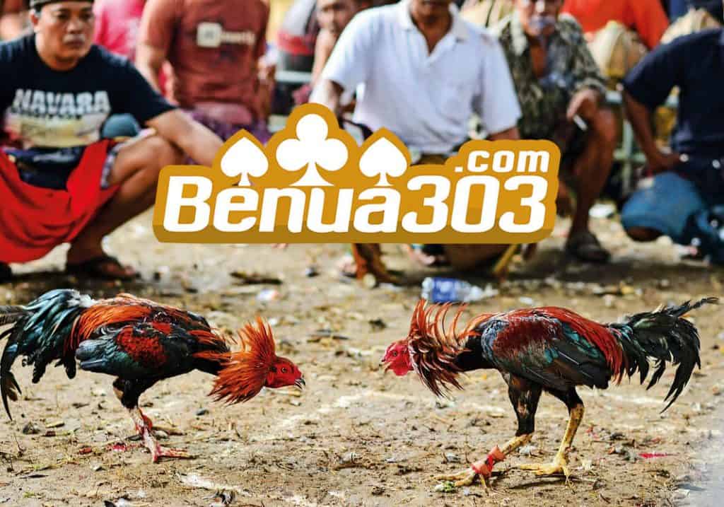 Mengenal Judi Sabung Ayam Online S128