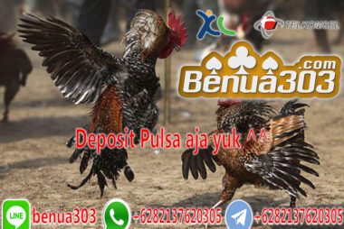 Adu Ayam Online Deposit Pakai Pulsa
